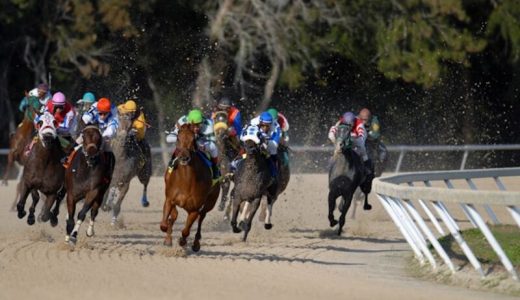 競馬が当たらない理由とは？負け続ける人の特徴と当たるための改善方法を解説